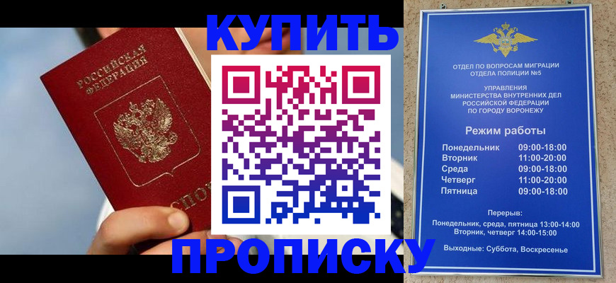 временная регистрация адрес в Мончегорске